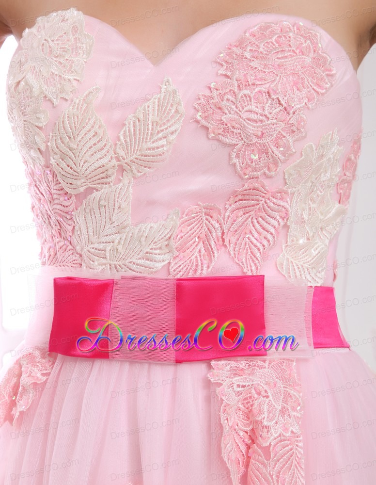 Baby Pink Appliques Organza Prom Dress