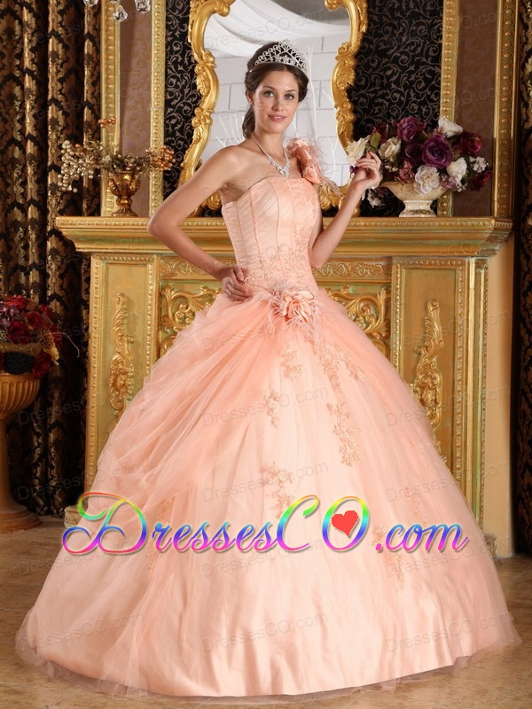 Light Pink Ball Gown One Shoulder Long Appliques Tulle Quinceanera Dress