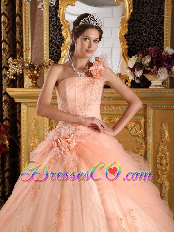 Light Pink Ball Gown One Shoulder Long Appliques Tulle Quinceanera Dress