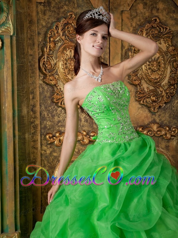Spring Green Ball Gown Strapless Long Organza Beading Quinceanera Dress