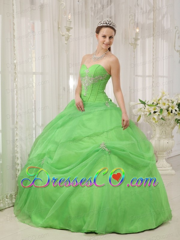 Spring Green Ball Gown Long Organza Appliques Quinceanera Dress