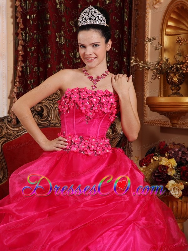 Hot Pink Ball Gown Strapless Long Organza Appliques Quinceanera Dress