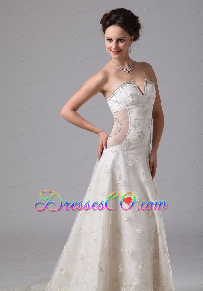 Unique V-neck Lace Court Train Wedding Dress With Appliques For Custom Made