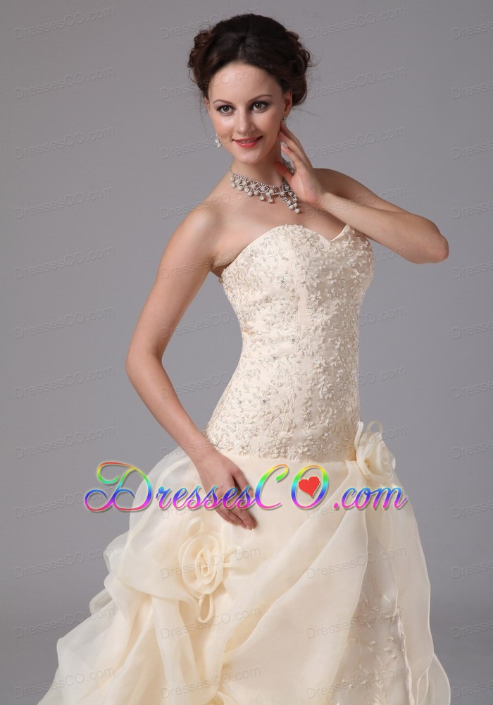 Champagne Embroidery and Hand Made Flowers Wedding Dress With Court Train Organza
