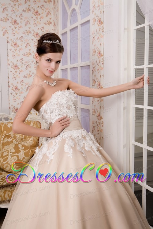 Beautiful A-line Strapless Ankle-length Tulle Appliques Wedding Dress