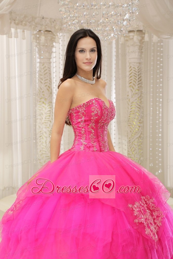Custom Made Hot Pink Embroidery For Quinceanera Wear In 2013