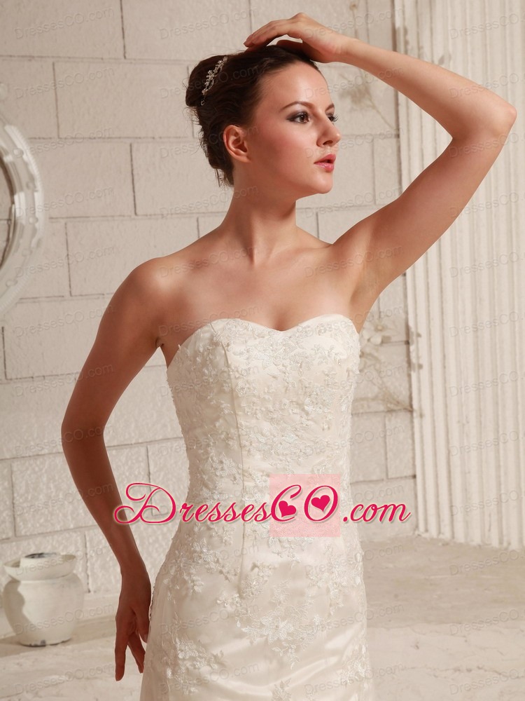 Lace and Organza Wedding Dress For Custom Made A-line Brush Train