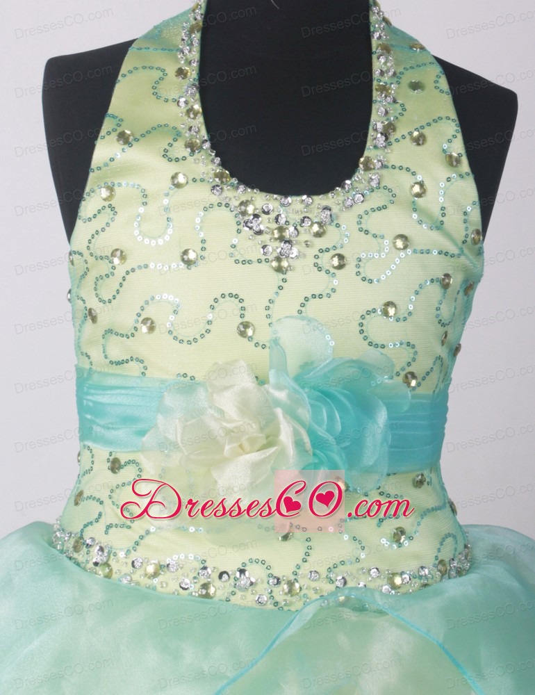 Yellow Green Little Girl Pageant DressWith Beading Hand Made Flower