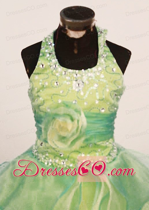 Cheap Ball Gown Yellow Green Little Girl Pageant Dress Halter Long Organza In 2013