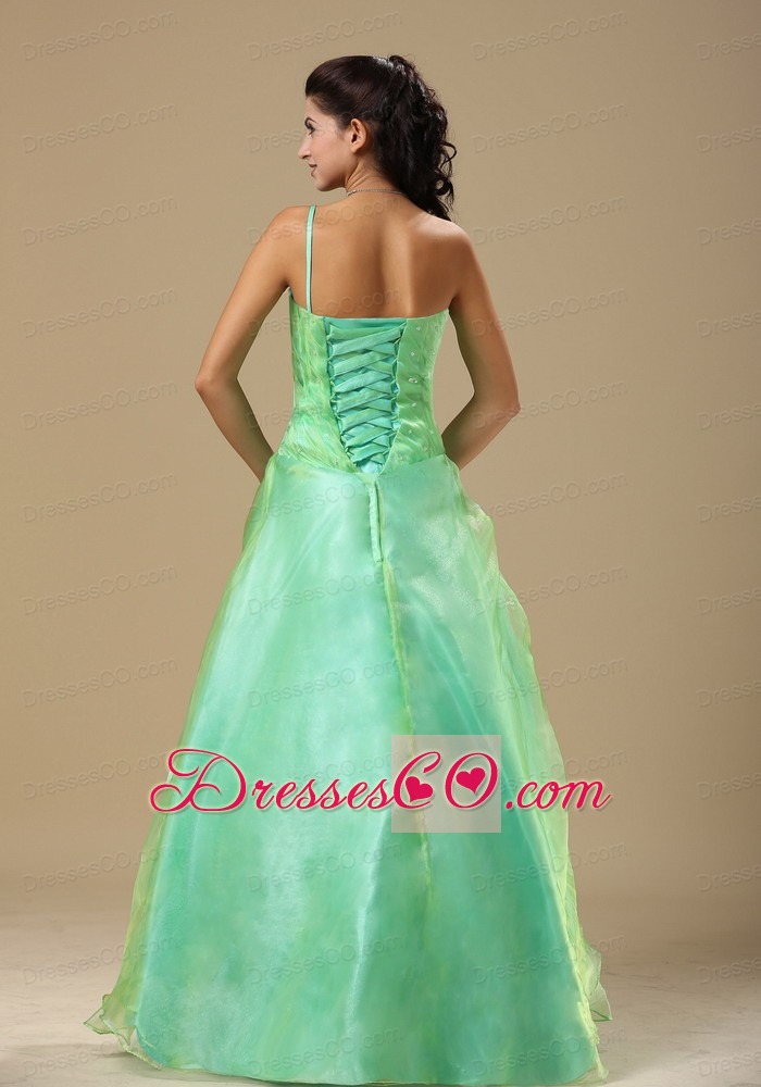 Apple Green Hand Made Flowers and Ruched Bodice  Prom Gown Dress