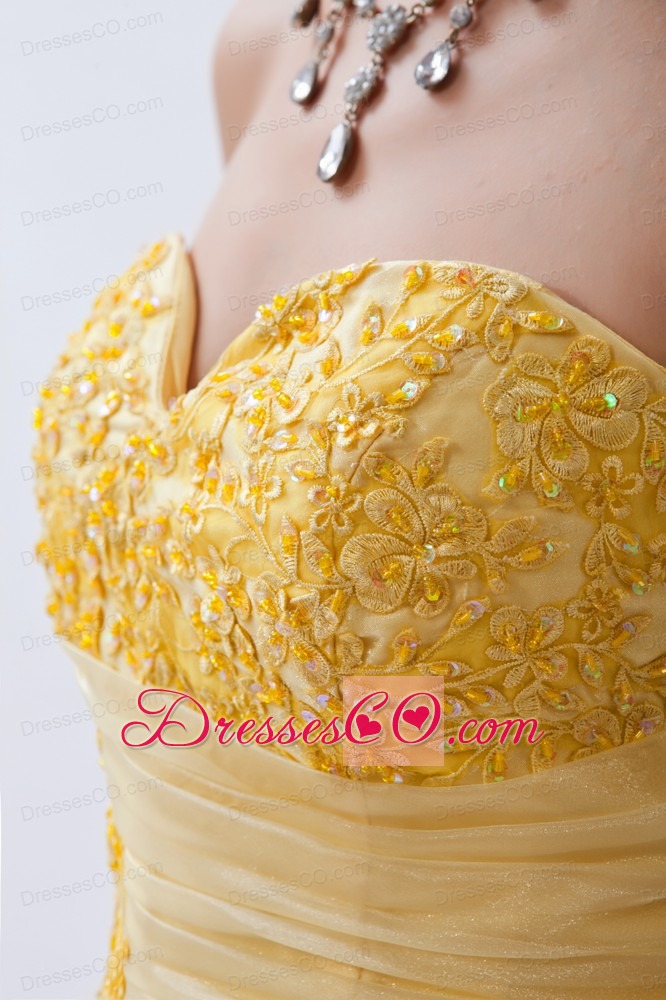 Light Yellow A-line / Princess Prom Dress Embroidery Tulle Long