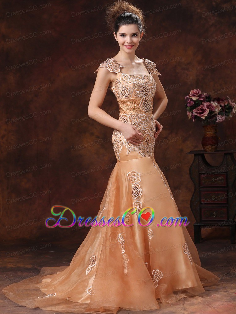 Brown Embroidery Square Prom Dress With Organza