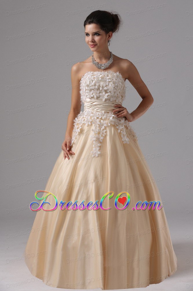 Champagne And Appliques For Ball Gown Prom Dress Long