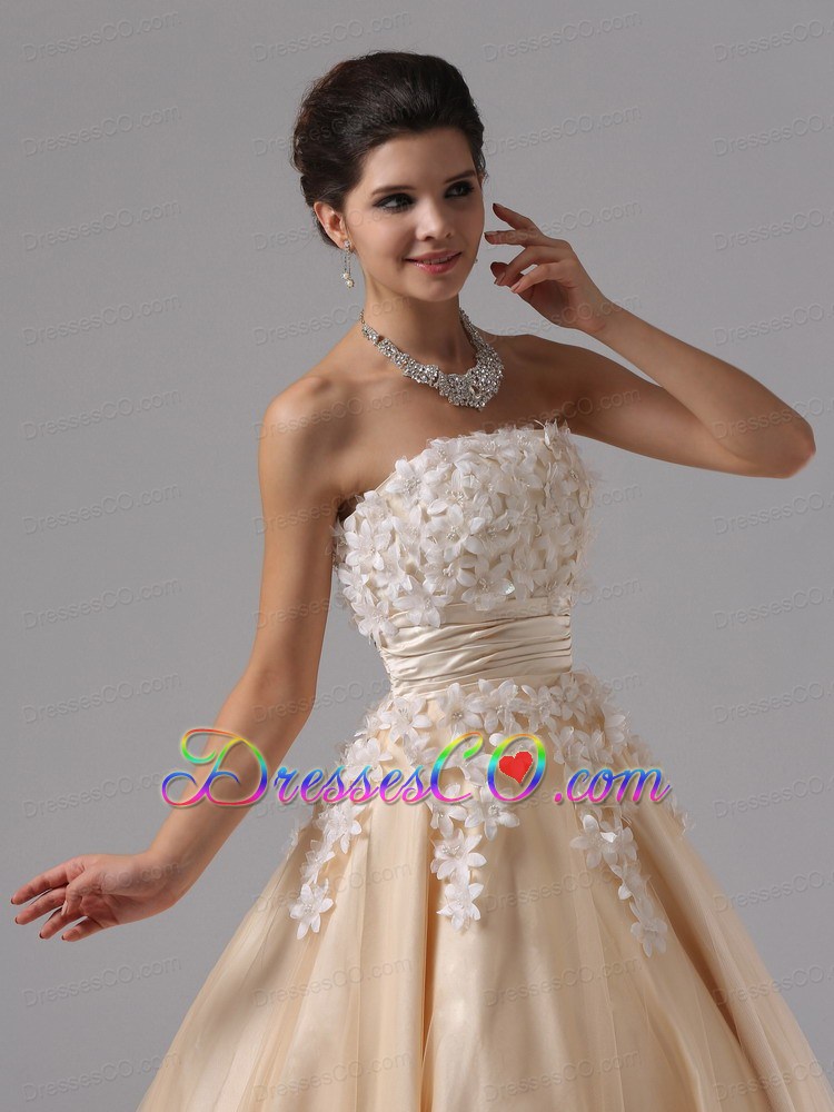 Champagne And Appliques For Ball Gown Prom Dress Long