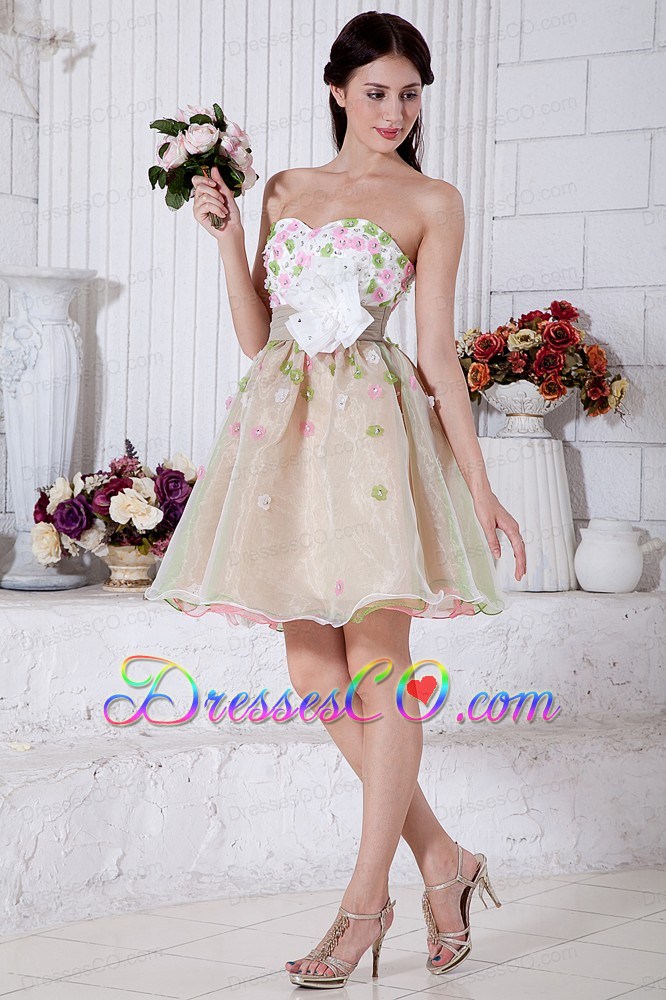 Colorful A-line Mini-length Organza Appliques Prom / Homecoming Dress