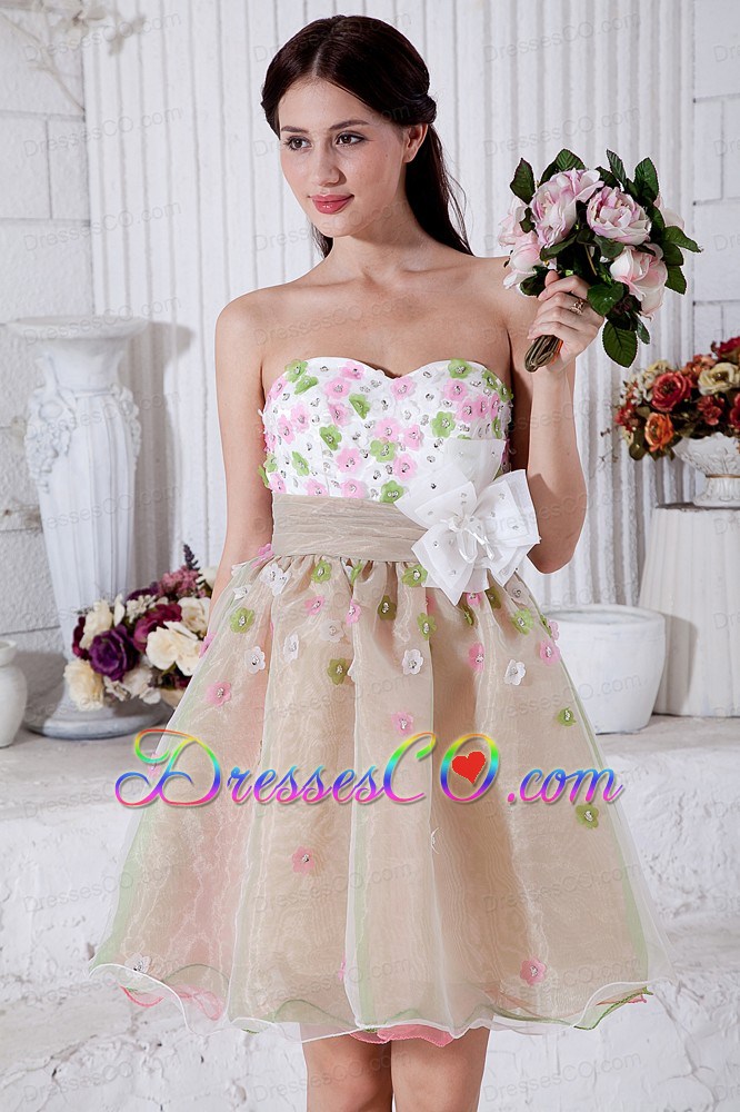 Colorful A-line Mini-length Organza Appliques Prom / Homecoming Dress