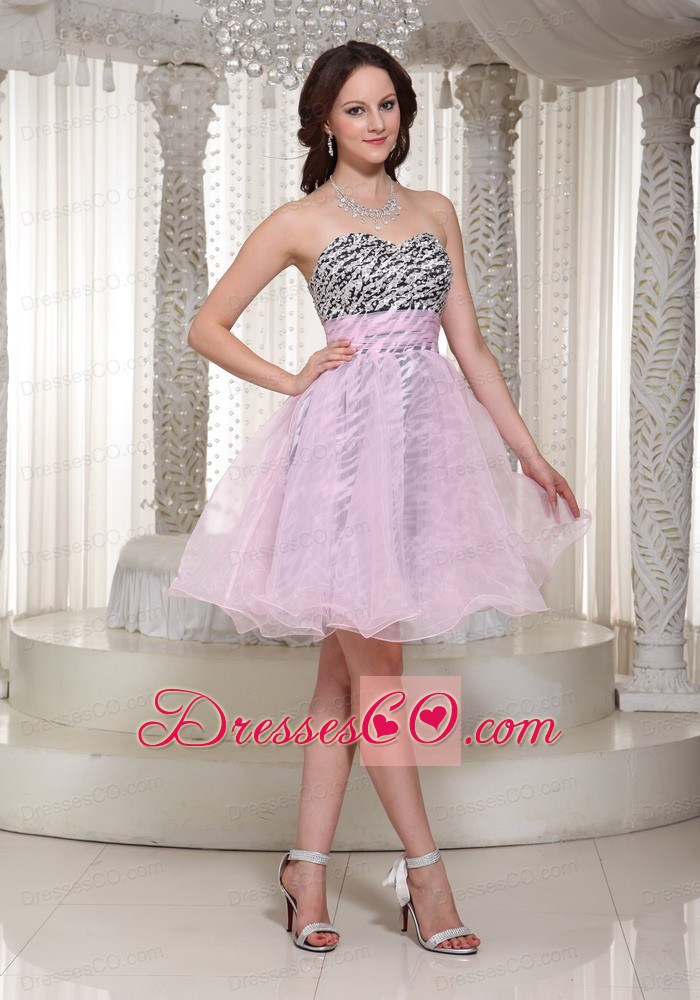 Make You Own Prom Dress With Organza Fabric and Zebra Sweetheart