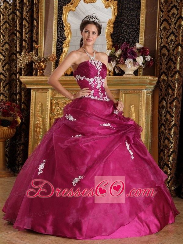 Fuchsia Ball Gown Strapless Long Organza And Satin Appliques Quinceanera Dress