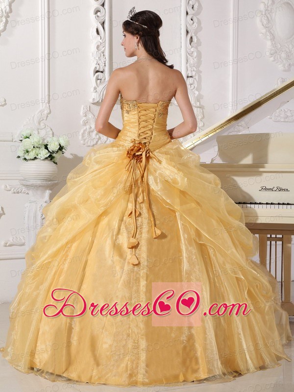 Gold Ball Gown Long Organza Embroidery With Beading Quinceanera Dress
