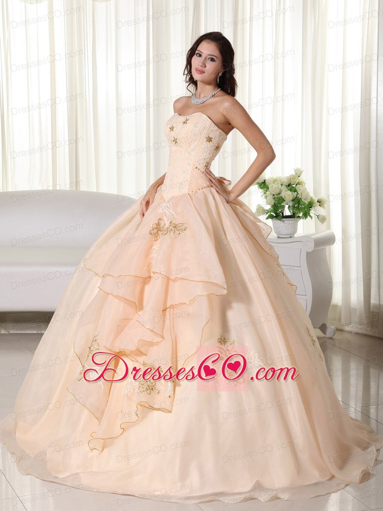 Champagne Ball Gown Strapless Long Organza Embroidery Quinceanera Dress