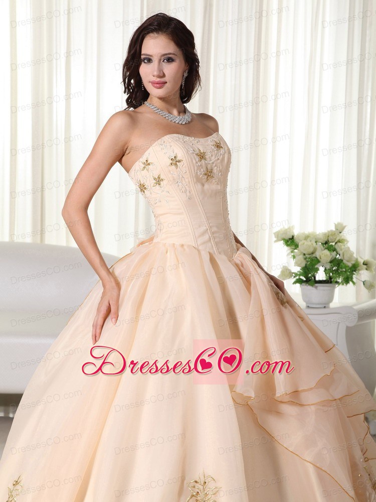 Champagne Ball Gown Strapless Long Organza Embroidery Quinceanera Dress