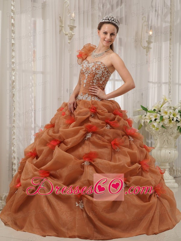 Rust Red Ball Gown One-shoulder Long Organza Appliques Quinceanera Dress