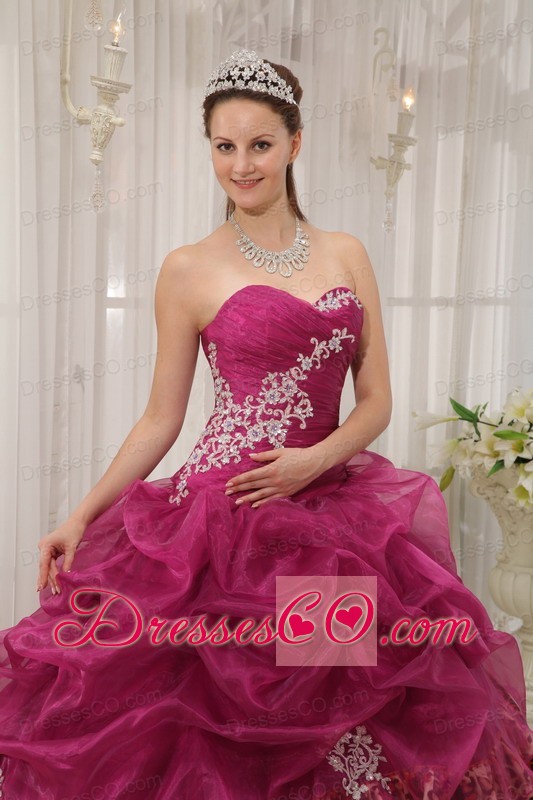 Burgundy Ball Gown Long Organza And Leopard Appliques Quinceanera Dress