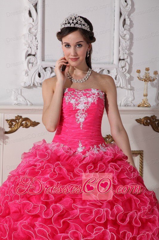 Hot Pink Ball Gown Strapless Long Organza Embroidery With Beading Quinceanera Dress